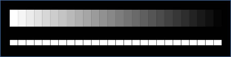 Gray Scale [1]. The leftmost grid has a luminance of 255 units, and each subsequent grid decreases by five in luminance.