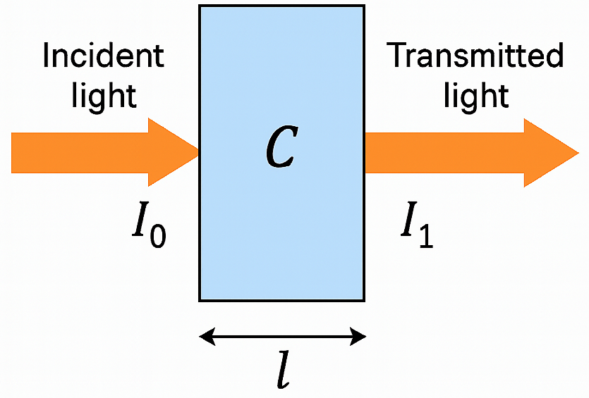 Beer-Lambert Law Diagram