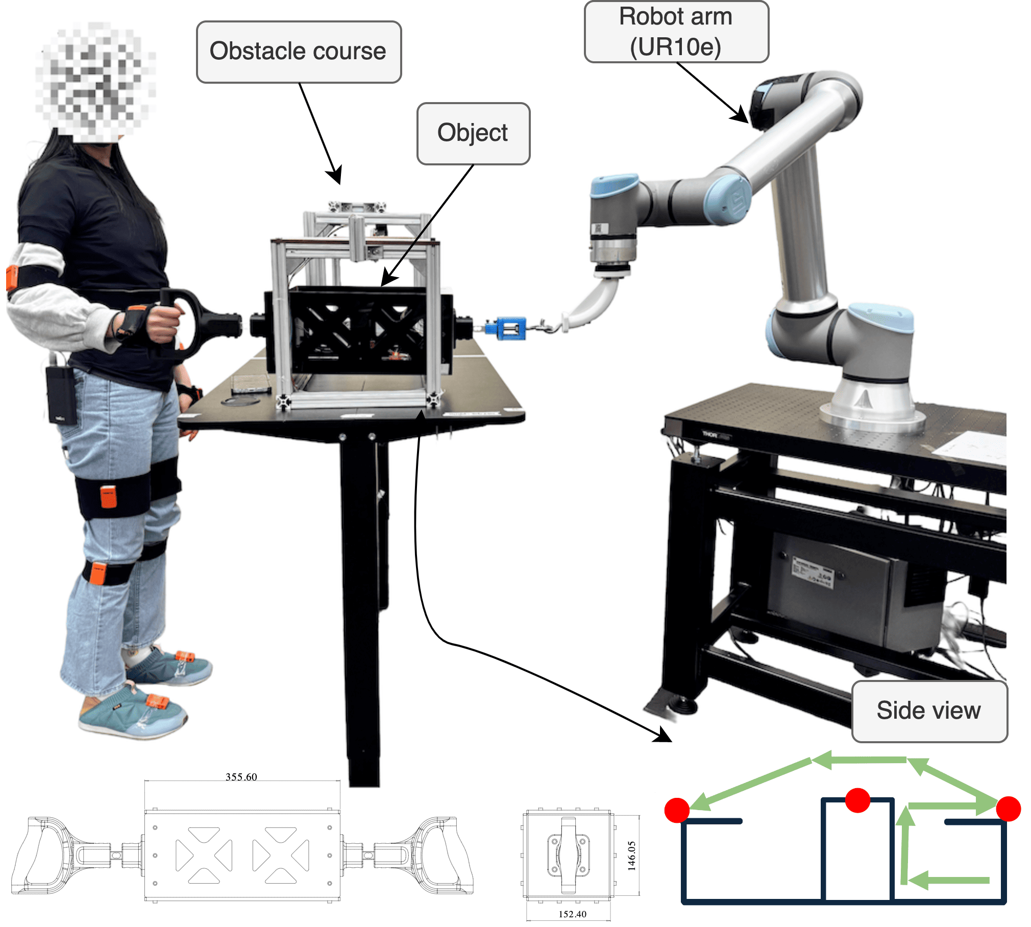 When Fatigue Shapes Trust: Perceptual Shifts beyond Performance in Physical Human-Robot Collaboration